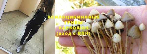 ПСИЛОЦИБИНОВЫЕ ГРИБЫ Белокуриха