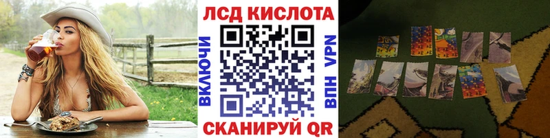 Марки N-bome 1,8мг  продажа наркотиков  Армавир 