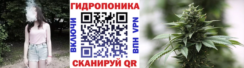 Бошки марихуана конопля  нарко площадка какой сайт  Армавир 